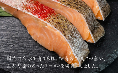 ふくい名水サーモン 切身 無塩 サーモン 鮭 トラウトサーモン さけ しゃけ サケ シャケ おかず 弁当 魚 焼き魚 焼鮭 ムニエル フライ 鮭フライ 魚介類 冷凍 真空 切り身 愛知県 田原市 渥美