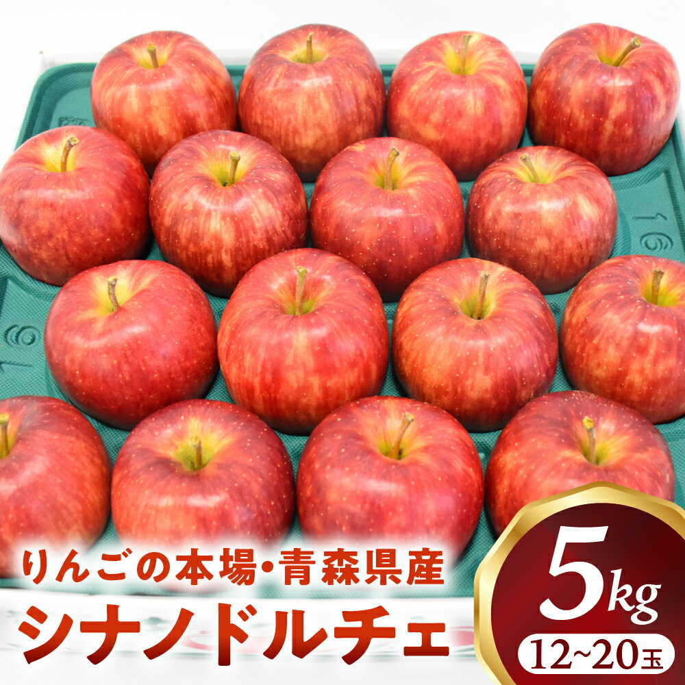 【ふるさと納税】青森りんご【シナノドルチェ】約5kg（12〜20玉）【2025年産・先行予約】★2025年10月上旬〜10月下旬頃まで発送予定★りんご 林檎 フルーツ 果物 果実 青森県 青森県産 三戸 三戸町 ギフト プレゼント 産地直送 農家直送 ふるさと 送料無料