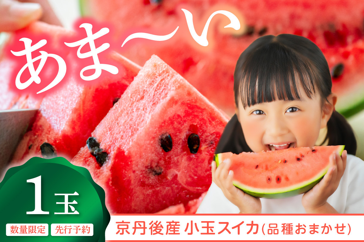 
            【先行予約】みんな大好き！甘～ぃ！シャリ美味！！京丹後産小玉スイカ！！1玉（ひとりじめ、姫甘泉、ひめまくら、砂丘たまごから1種類）（2026年7月上旬～発送）小玉すいか　YK00532
          