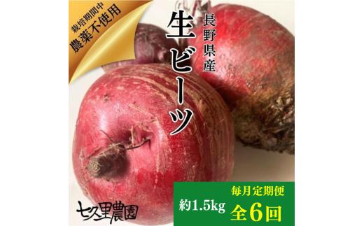 レッドパワービーツ 約1.5kg【 毎月 6回 定期便 】| 野菜 ビーツ レッドパワー レッドパワービーツ 定期 長野県 信州 南信州 飯田市