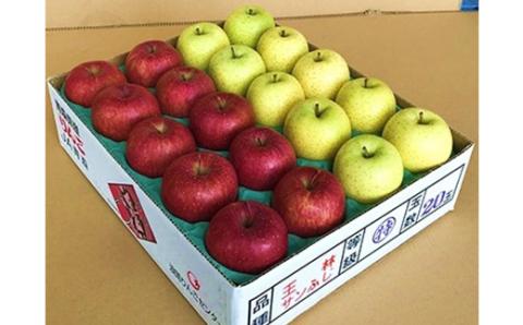 JA青森　青森県産りんご「サンふじ＆王林詰合せ」約5kg【配送不可地域：離島】