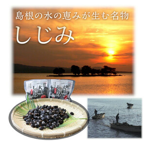 宍道湖産 冷凍 しじみ 約1.2kg（250g×5袋））| しじみ