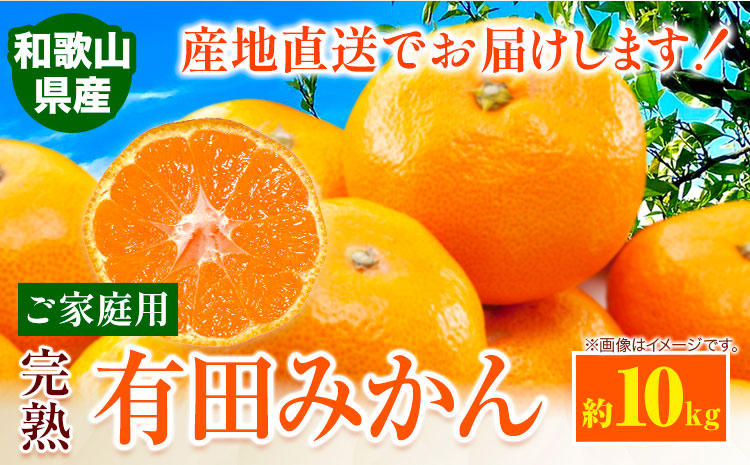 みかん ご 家庭用 完熟 有田みかん 約 10kg 有田マルシェ《11月上旬-1月上旬頃出荷予定》 和歌山県 日高町 みかん 有田みかん 柑橘 フルーツ 完熟 送料無料 訳あり みかん 蜜柑 ミカン 柑橘