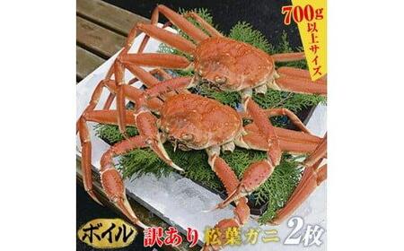 【ボイル】訳あり 松葉ガニ  | 松葉 カニ 訳あり活 特大 美味しさに 訳あり 不揃い でないたっぷり枚 ※2025年11月上旬～2026年3月下旬頃に順次発送予定 ※着日指定不可