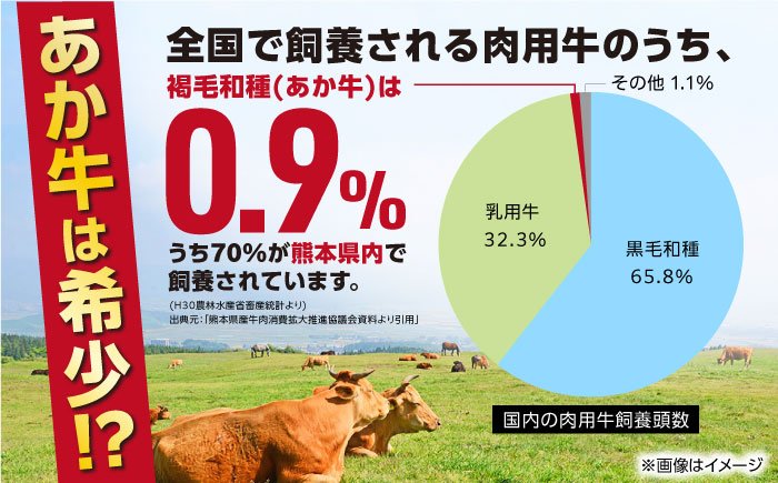 熊本あか牛スジ 1kg 牛肉 【五右衛門フーズ】 [YBZ047]