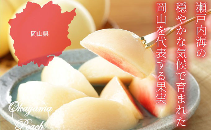 桃 2026年 先行予約 岡山 白桃 ロイヤル 3玉×約250g（2Lサイズ）JAおかやまのもも（早生種・中生種） もも モモ 岡山県産 国産 フルーツ 果物 ギフト 
