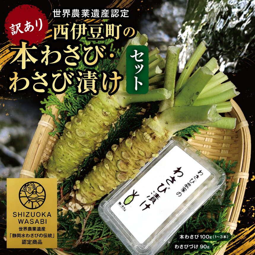 【ふるさと納税】 訳あり わさび 本わさび 山葵 わさび漬 刺身 そば わさび丼 薬味 伊豆 西伊豆 【世界農業遺産認定】訳あり 西伊豆町の本わさび・わさびづけセット 【12月・1月除く】