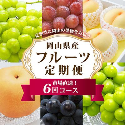 ふるさと納税 津山市 【発送月固定定期便】岡山県産 フルーツ定期便全6回