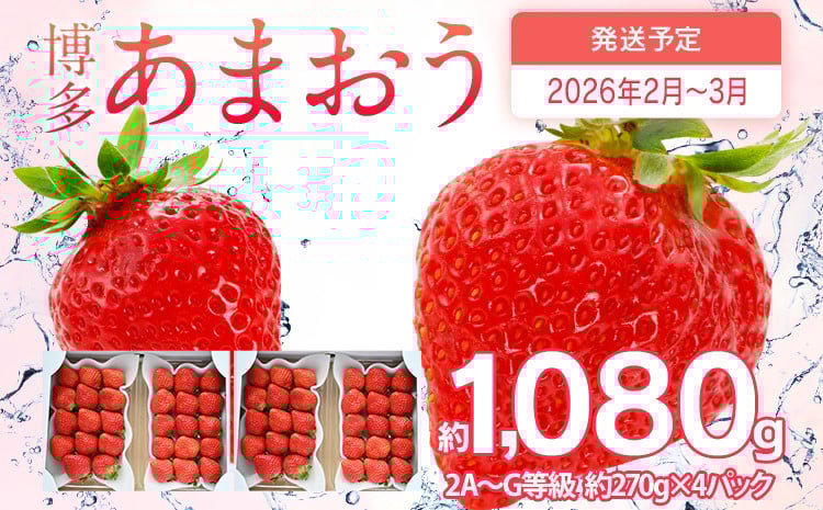 
            先行予約 あまおう 合計約1,080g 約270g×4パック 福岡県産 九州 イチゴ いちご 苺 果物 くだもの フルーツ 送料無料 【2026年2月～2026年3月順次発送】
          