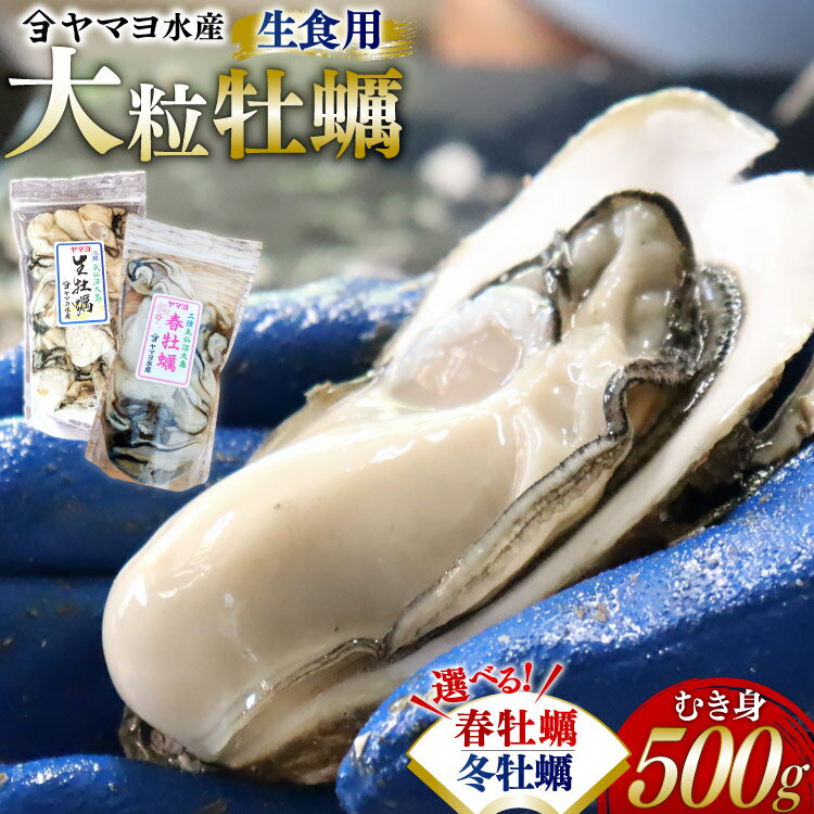 【ふるさと納税】選べる 冬牡蠣 / 春牡蠣 【期間限定発送】ヤマヨ水産の牡蠣 むき身 500g 生食用 [気仙沼市物産振興協会 宮城県 気仙沼市 20565991] 牡蠣 かき 魚介類 海鮮 冬 冬かき 期間限定 冷蔵 生食 生牡蠣 春 春かき