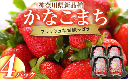 神奈川県新品種「かなこまち」　完熟イチゴ　苺　4パック入り