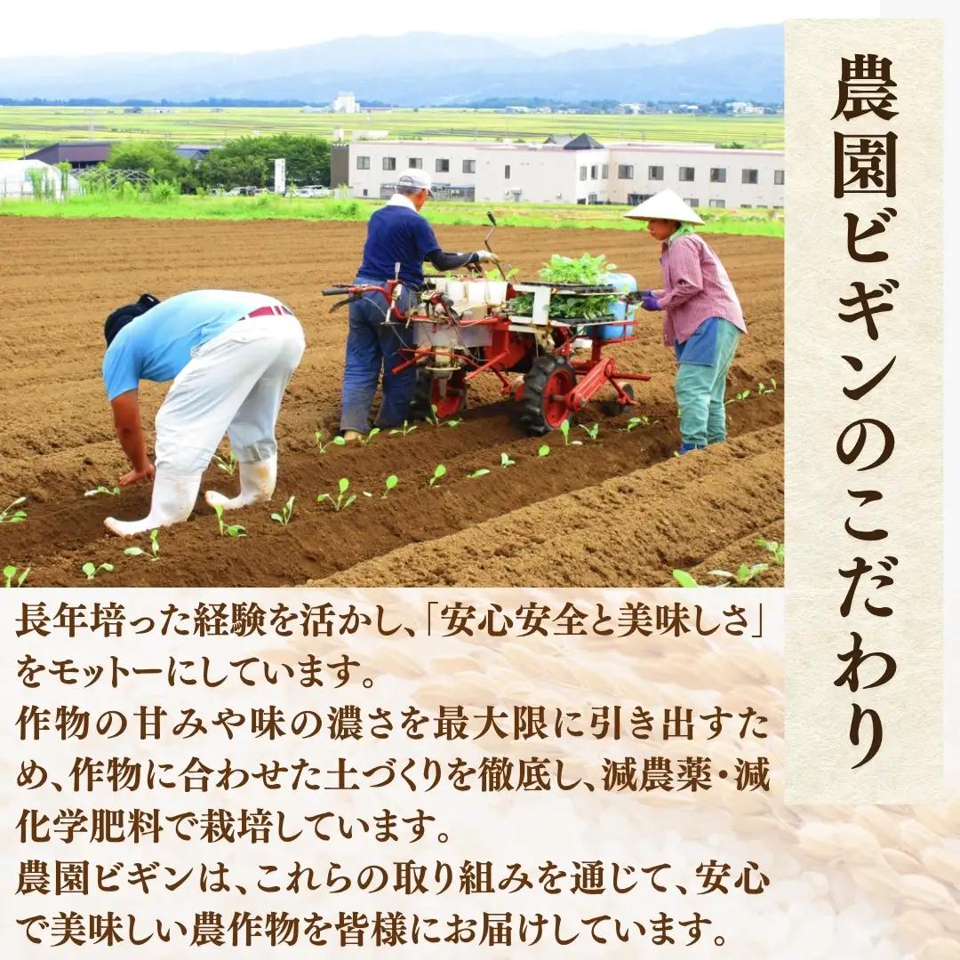 【令和8年産 先行予約】 昔ながらの魚沼産コシヒカリ 従来品種 定期便 60kg（5キロ2袋×毎月全6回）農園ビギン | おこめ 特A評価 小千谷市 コシヒカリ