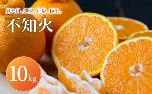 【早い者勝ち】 深い甘み 【デコ（不知火）（デコポンと同品種）】10kg 愛媛県産 【2027年1月下旬頃から順次発送】 | でこぽん しらぬい shiranui みかん ミカン mikan 蜜柑 訳ありフルーツ 柑橘 果物 おすすめ お勧め お取り寄せ ギフト 愛媛県 松山市