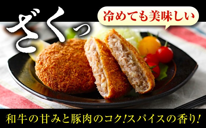 人気のミンチカツ＆ハンバーグセット メンチカツ 揚げたて ハンバーグ 冷凍