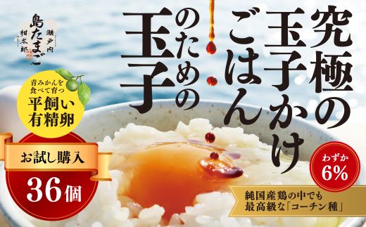 【お試し】 瀬戸内柑太郎 『島たまご』平飼い有精卵 36個(34個＋割れ補償2個)  平飼い 純国産鶏 コーチン種 卵 たまご 佐木島 三原 広島 017034