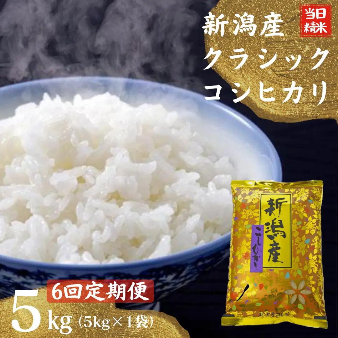 【令和7年産】【6ヶ月定期便】 当日精米! 農家直送 美味しい クラシックコシヒカリ 5kg×6回 計30kg 新潟県 米 こめ コメ 精米 白米 定期便 1F28101