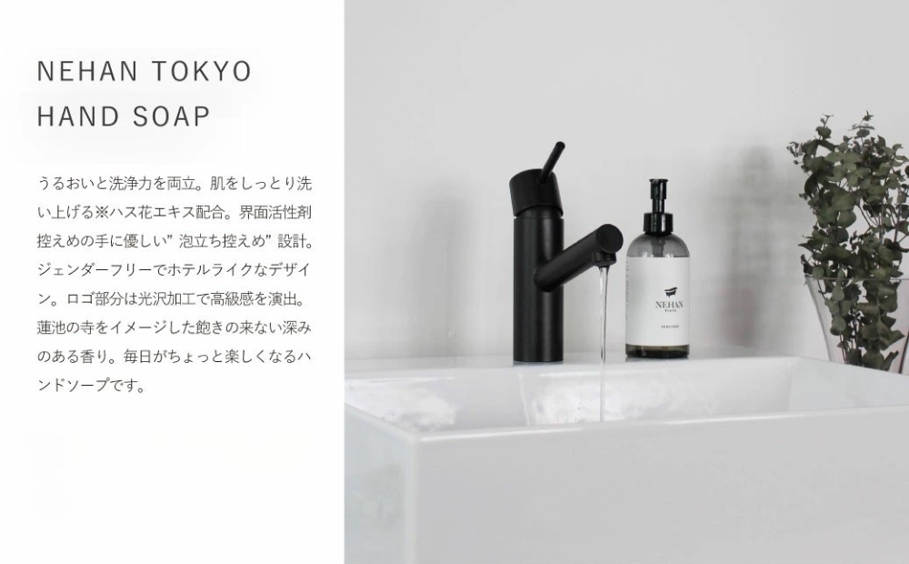 【NEHAN TOKYO】ボディ＆ハンドケア定期便 全6回　ボディスクラブ　ハンドソープ　マグネシウム　セット　エプソムソルト　定期便　ボディケア　