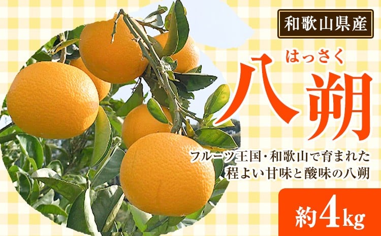 
                  八朔 先行予約 和歌山県産 八朔(はっさく) 約4kg 前商店《1月上旬-3月末頃出荷》産地直送 柑橘 はっさく ハッサク 八朔
                