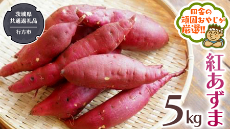 紅あずま 5kg （茨城県共通返礼品 [さつまいも]：行方市産） 芋 野菜