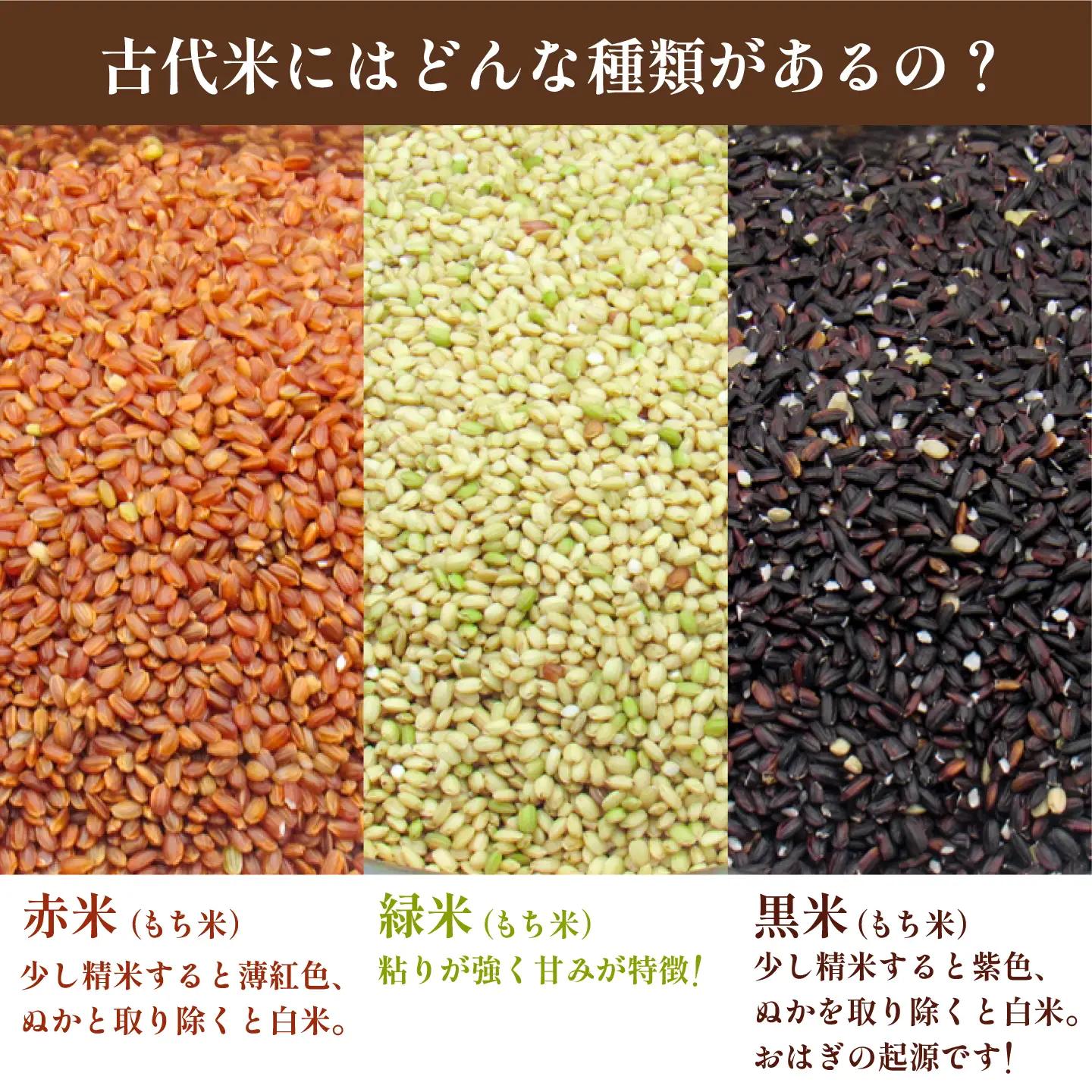 古代米 黒米 1kg 500g×2袋 JDB405