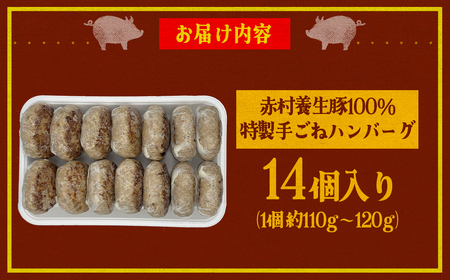 赤村養生館 特製手ごねハンバーグ 14個 B19