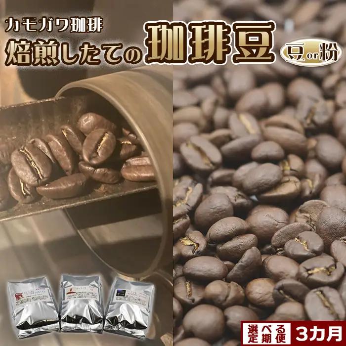【カモガワ珈琲の定期便】焙煎したてのコーヒー豆 ３種（170g×３袋）３カ月《粉・隔月発送》　[0052-0005]