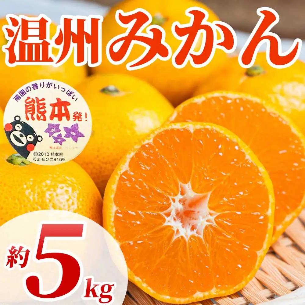 先行予約 温州みかん 約5㎏ （2S～2L）【2026年10月上旬～2027年2月下旬発送予定】