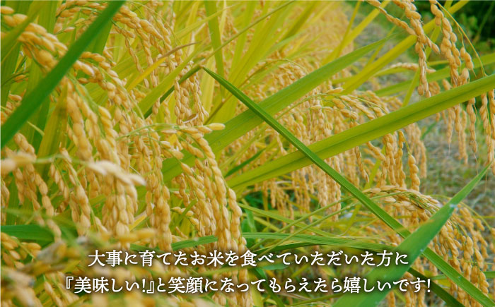 【さがの米 食べ比べ】令和5年産 新米 さがびより 夢しずく 白米 計10kg ( 5kg×2種 )【五つ星お米マイスター厳選】特A米 特A評価 [HBL002]