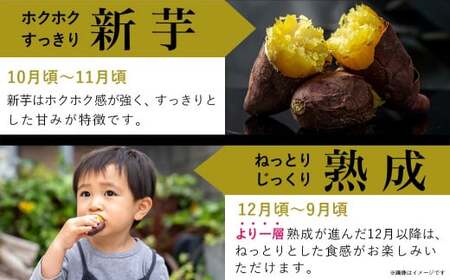 島津甘藷　熟成紅はるか 5kg(2L～M) _LD-A701_(都城市) 幻のサツマイモ 幻の品種 紅はるか 5kg 2L～M ベジエイト