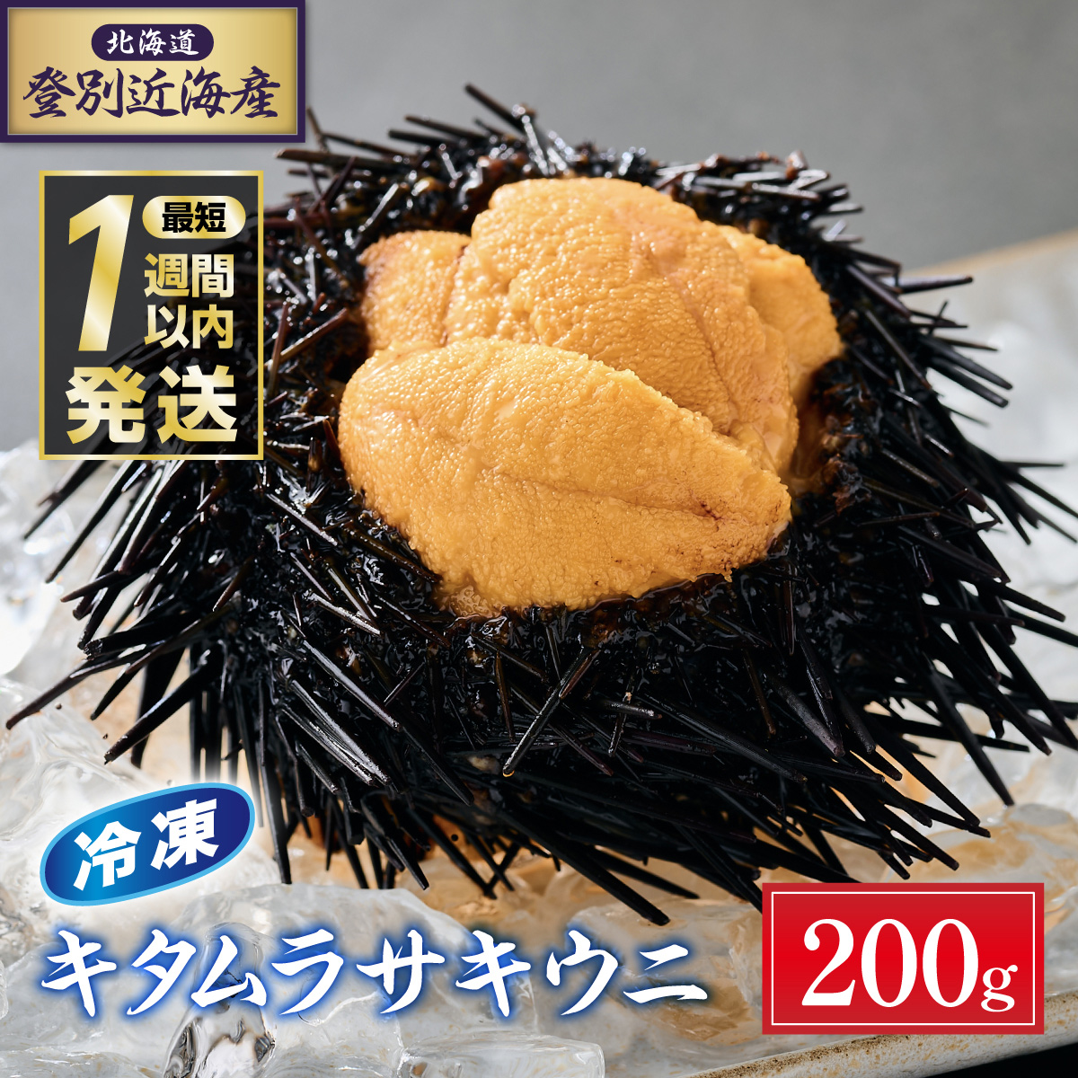 登別近海産冷凍キタムラサキウニ（パック詰）200g