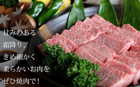 数量限定！ご贈答 国産 和牛 きたかみ牛 上カルビ 焼肉用 750g 数量限定 A5 A4 人気 肉 牛肉 BBQ お歳暮 忘年会 贈答用 牛カルビ 上カルビ カルビ 国産和牛 岩手県 北上市 H00