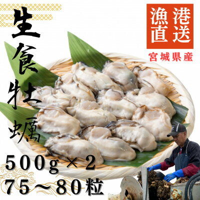 【ふるさと納税】宮城県牡鹿半島産　鮮生牡蠣　500g×2【配送不可地域：離島・沖縄県・九州】【1550892】