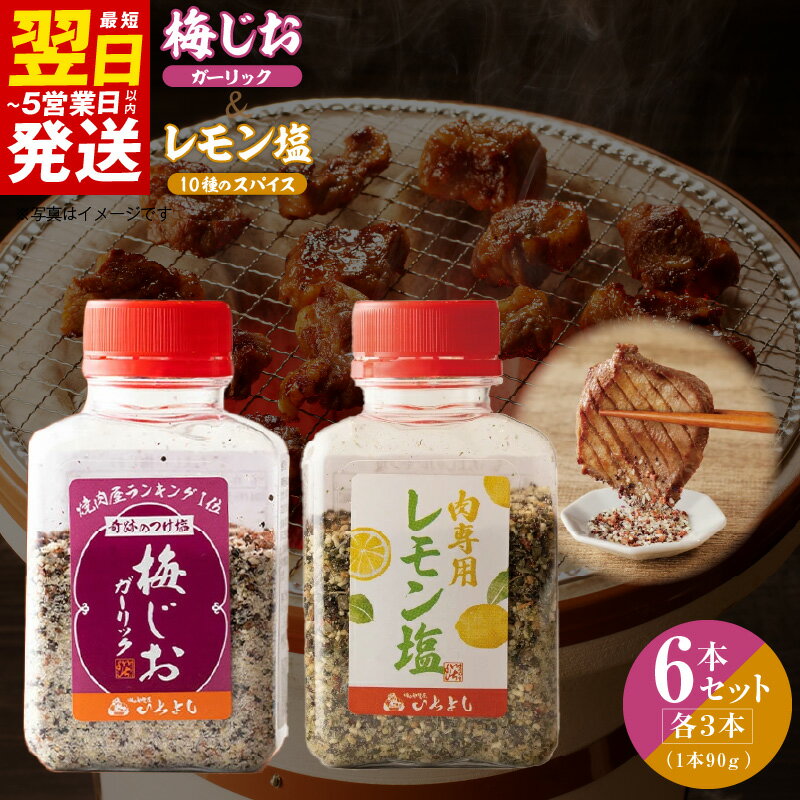 【ふるさと納税】焼き肉専門店 梅じお レモン塩 90g × 各 3本 合計 6本 食べ比べ セット タン おにぎり パスタ 焼肉 BBQ アレンジ 爽やか パンチ すっきり つけ塩 調味料 いちよしエンタープライズ(株) お取り寄せ 最短 翌日発送 5営業日 泉佐野市 送料無料