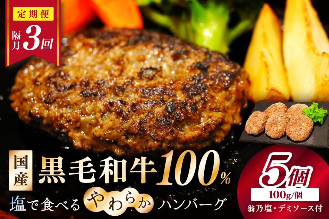 塩で食べるやわらかハンバーグ（デミグラスソース付）　NH00041