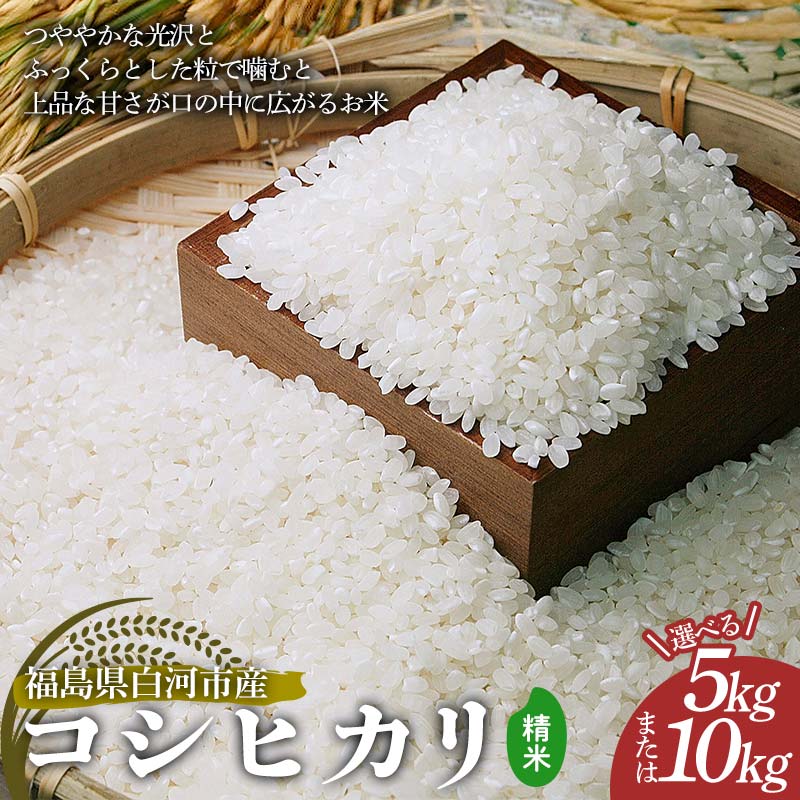 【ふるさと納税】《選べる容量》令和7年産 コシヒカリ 精米 5kg 10kg 米 コメ ごはん ご飯 食品 F24R-227var