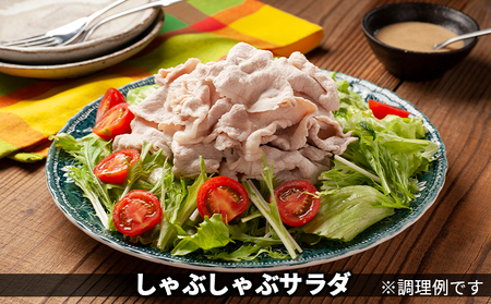 黒部名水ポーク ハンバーグ・しゃぶしゃぶ 黒部名水ポーク【ハンバーグ10個 肉約250g】