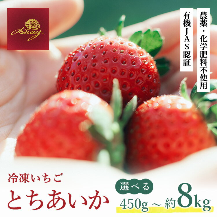 【ふるさと納税】＼選べる内容量／冷凍いちご 450g～約8kg