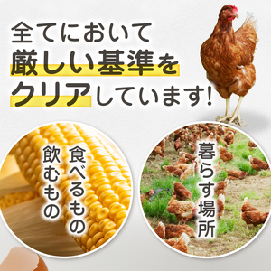 リアルオーガニック卵の定期便 18個×10回　I-502【有機卵 卵 たまご リアルオーガニック卵 有機JAS 人気 定期便 新鮮 たまごかけご飯 すき焼き 鶏卵 国産 オーガニック 玉子 贈答】