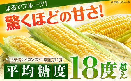 【先行予約】朝採れ とうもろこし 10本 ゴールドラッシュ【遠藤ファーム】 トウモロコシ [BDAF004]