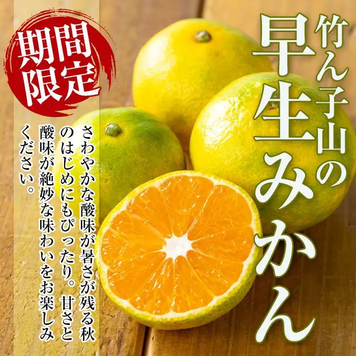 【先行予約】 いずみ産 竹ん子山 早生みかん 約5kg 【イーサイドライン】 i1178