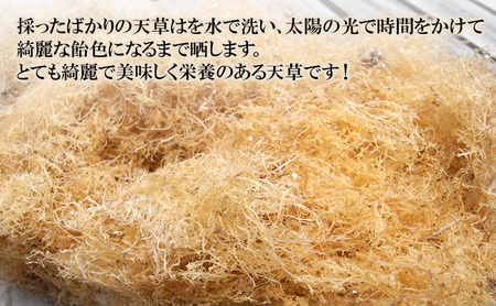 天草 晒し天草 70g×3袋 漁師直送 新鮮 河津町 天草