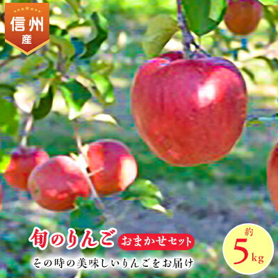 【ふるさと納税】【2025年】信州のりんご　品種おまかせ　約5kg_ りんご 林檎 果物 くだもの フルーツ おまかせ 長野県 産地直送 送料無料 お取り寄せ ギフト 贈答 プレゼント 信州 旬 【1041422】