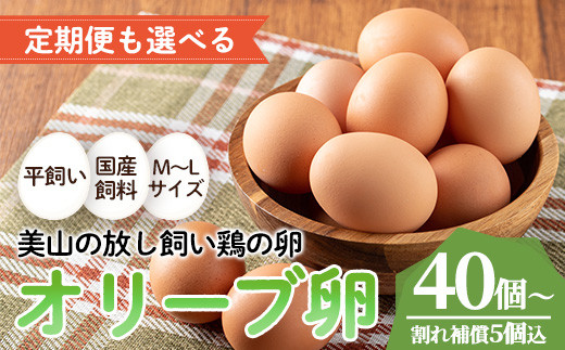 
                  No.779/No.780 ＜定期便も選べる！＞鹿児島県産美山オリーブ卵(40個/定期便・40個×6回連続) 割れ保証付 国産 九州産 鹿児島県産 たまご タマゴ オリーブ 卵 鶏卵 生卵 おかず TKG 卵かけご飯 朝食 定期便 頒布会 数量限定【美山たまご王国】
                