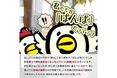 610　無添加　親鳥の煮込み「ばんばどり」　200ｇ×3袋　計600ｇ