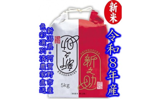 【令和8年産新米】 新潟県産「新之助」 白米 5kg 阿賀野市産 中島農場 精米 新潟県 米 こめ コメ お米 ごはん ご飯 農家直送 色彩選別済 新米 新米予約 令和8年産 9月下旬より順次発送  3R08018