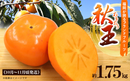 秋の贅沢、濃厚であま～い柿の新ブランド「秋王」約1.75 kg 072-196