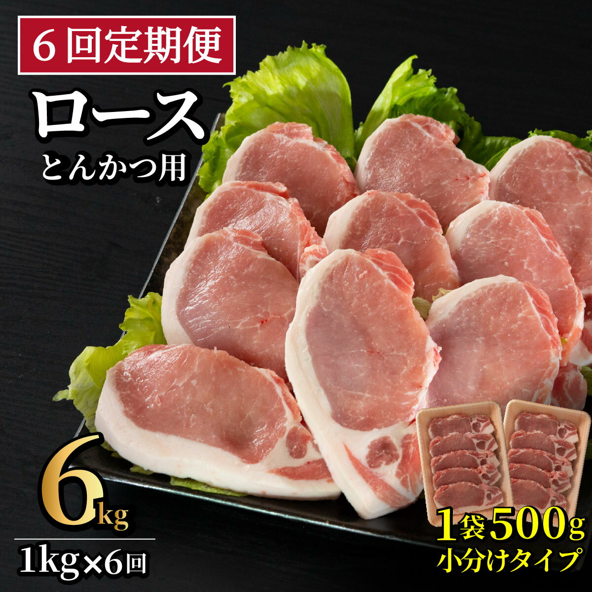 【ふるさと納税】《定期便》長崎県産豚 ロースとんかつ用計1kg(100g×5枚)×2 【6回お届け】