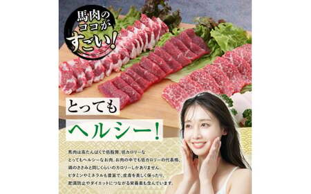 馬刺し 5種詰合せセット「宴」580g FKP9-484