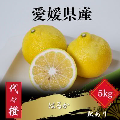 
            ＜爽やかな甘さ＞＜訳あり＞はるか 5kg＜C83-19＞【1549109】
          
