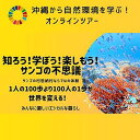 【ふるさと納税】チケット【参加特典付き貸切オンラインツアー】沖縄から自然環境を学ぶ！サンゴの不思議【恩納村ラグーン】 | 券 チケット ダイビング 体験 アクティビティ リゾート ふるさと納税 万座 恩納村 沖縄人気 おすすめ 送料無料